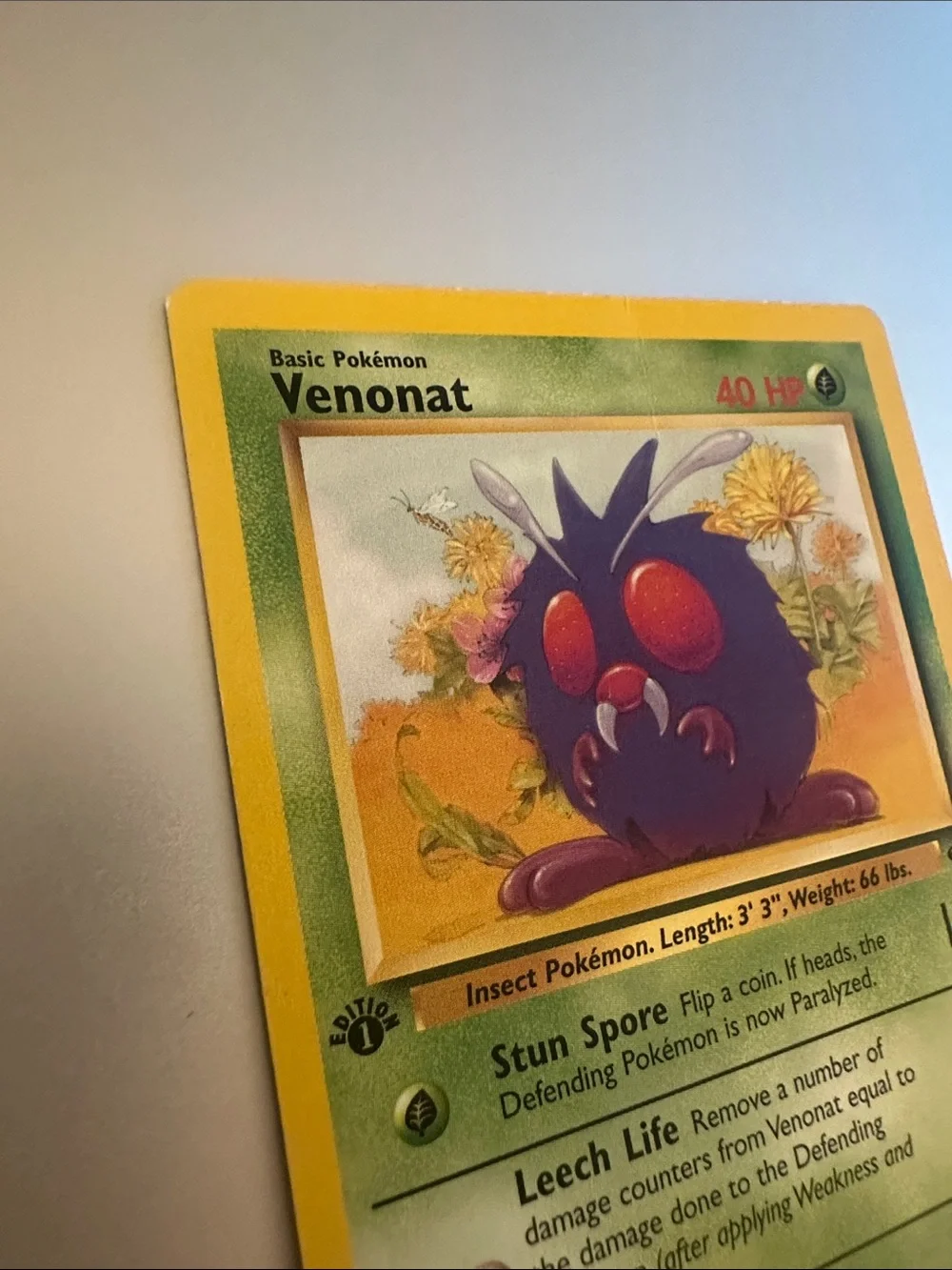 Venonat Pokémon 1st Edition Trading Card